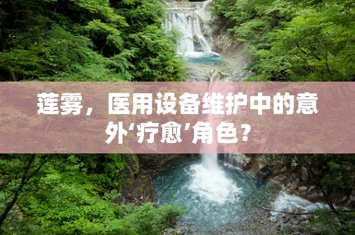 莲雾，医用设备维护中的意外‘疗愈’角色？