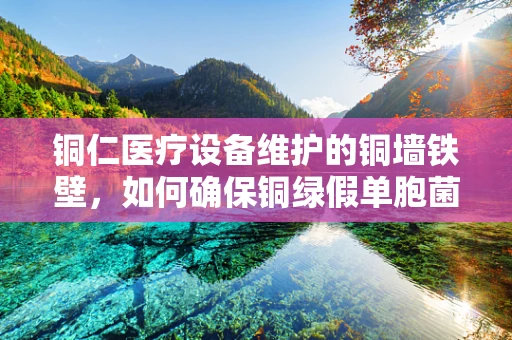 铜仁医疗设备维护的铜墙铁壁，如何确保铜绿假单胞菌的防控？