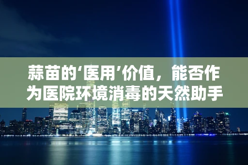 蒜苗的‘医用’价值，能否作为医院环境消毒的天然助手？
