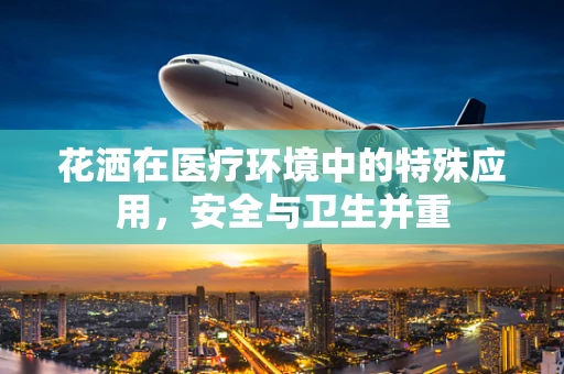 花洒在医疗环境中的特殊应用，安全与卫生并重