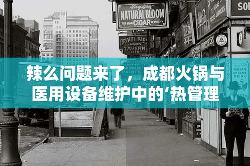 辣么问题来了，成都火锅与医用设备维护中的‘热管理’有何异曲同工之妙？