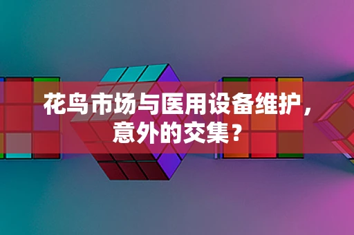 花鸟市场与医用设备维护，意外的交集？
