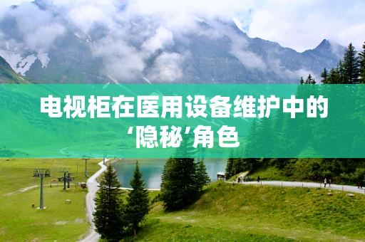 电视柜在医用设备维护中的‘隐秘’角色