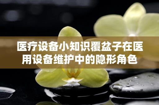 医疗设备小知识覆盆子在医用设备维护中的隐形角色