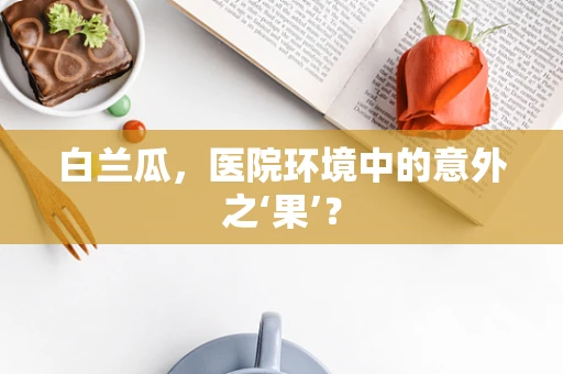 白兰瓜，医院环境中的意外之‘果’？