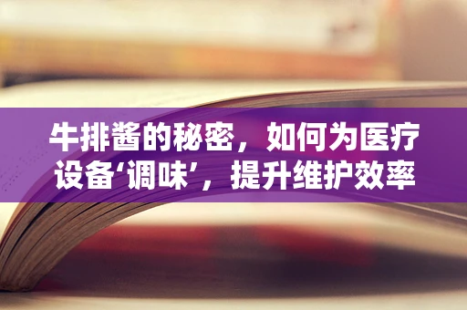牛排酱的秘密，如何为医疗设备‘调味’，提升维护效率？