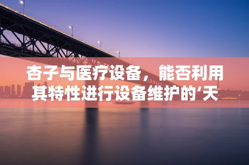 杏子与医疗设备，能否利用其特性进行设备维护的‘天然’创新？