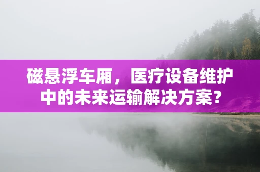 磁悬浮车厢，医疗设备维护中的未来运输解决方案？