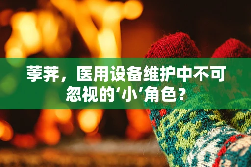 荸荠，医用设备维护中不可忽视的‘小’角色？
