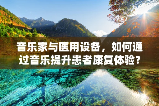 音乐家与医用设备，如何通过音乐提升患者康复体验？
