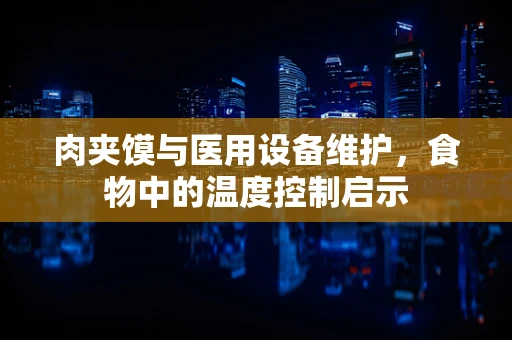 肉夹馍与医用设备维护，食物中的温度控制启示
