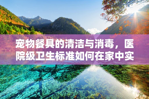 宠物餐具的清洁与消毒，医院级卫生标准如何在家中实现？
