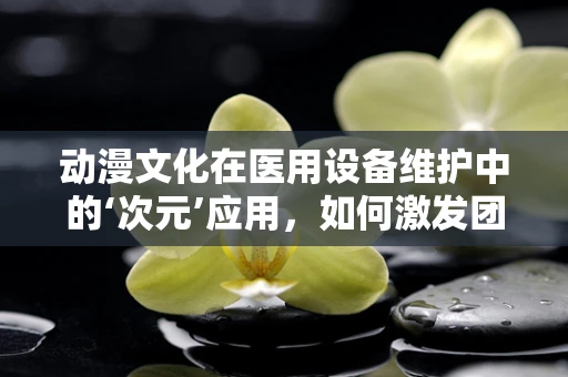 动漫文化在医用设备维护中的‘次元’应用，如何激发团队创新力？