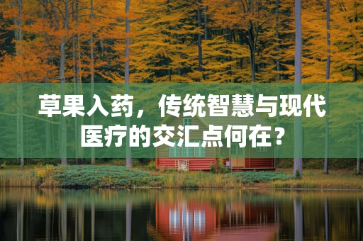 草果入药，传统智慧与现代医疗的交汇点何在？