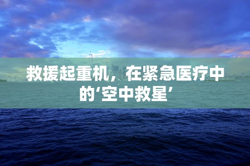 救援起重机，在紧急医疗中的‘空中救星’