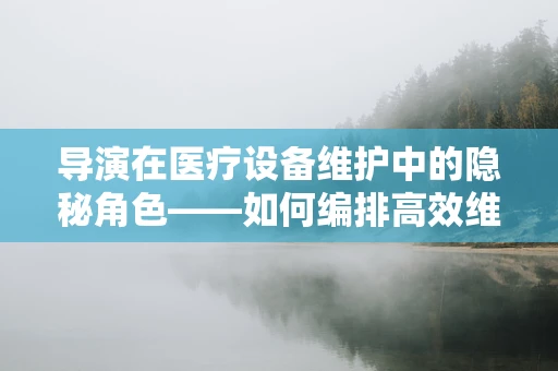 导演在医疗设备维护中的隐秘角色——如何编排高效维护计划？