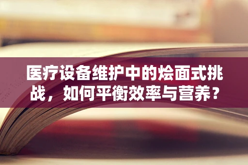 医疗设备维护中的烩面式挑战，如何平衡效率与营养？