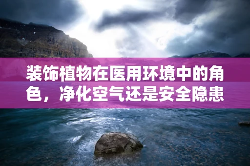 装饰植物在医用环境中的角色，净化空气还是安全隐患？