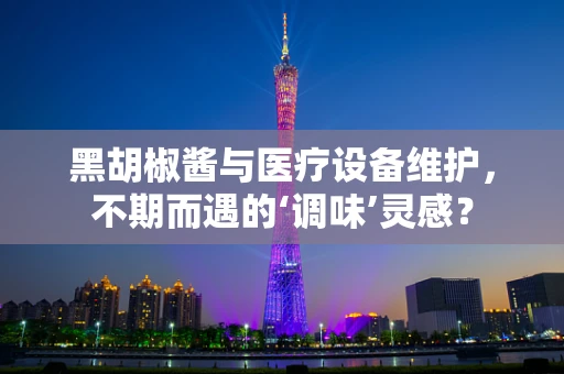 黑胡椒酱与医疗设备维护，不期而遇的‘调味’灵感？