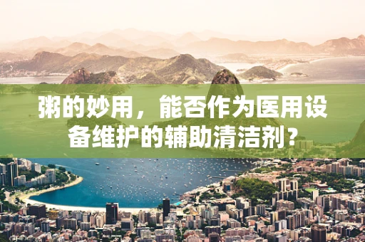 粥的妙用，能否作为医用设备维护的辅助清洁剂？