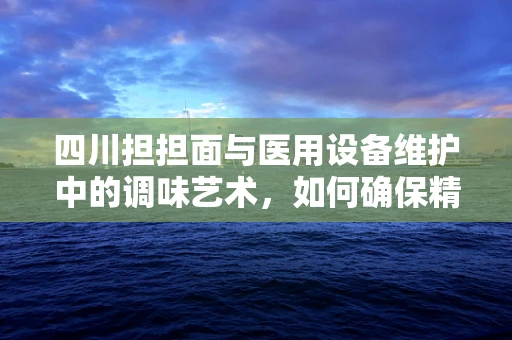 四川担担面与医用设备维护中的调味艺术，如何确保精准维护？
