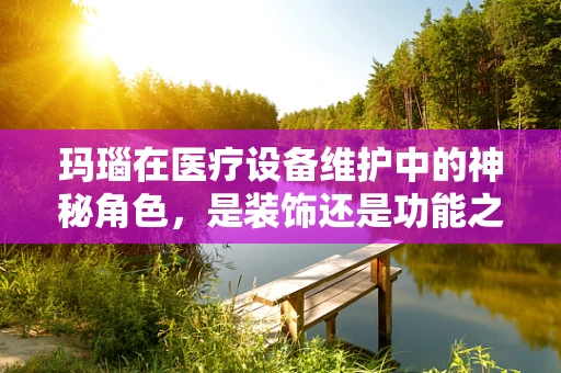 玛瑙在医疗设备维护中的神秘角色，是装饰还是功能之选？