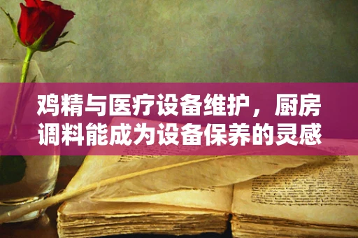 鸡精与医疗设备维护，厨房调料能成为设备保养的灵感来源吗？