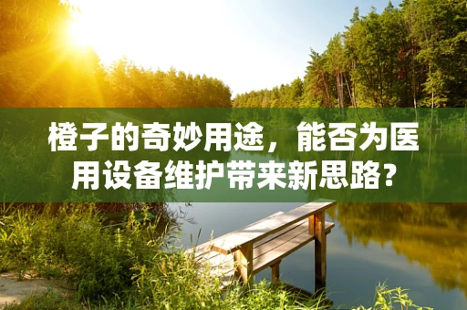 橙子的奇妙用途，能否为医用设备维护带来新思路？