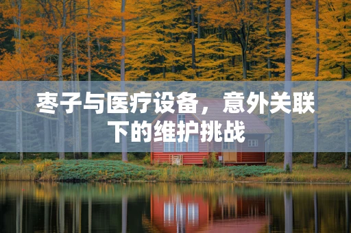 枣子与医疗设备，意外关联下的维护挑战