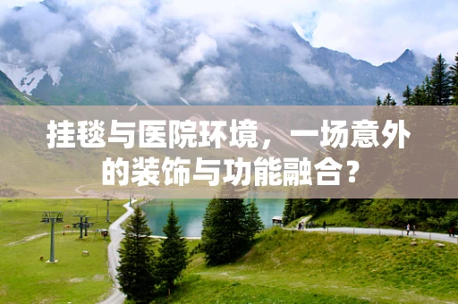 挂毯与医院环境，一场意外的装饰与功能融合？