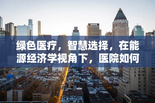 绿色医疗，智慧选择，在能源经济学视角下，医院如何优化医用设备能源使用？