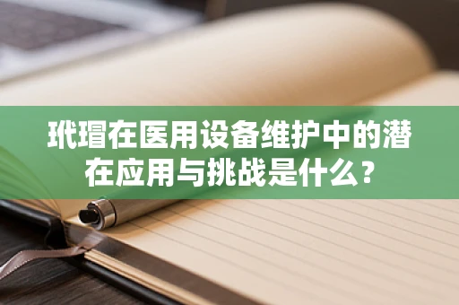玳瑁在医用设备维护中的潜在应用与挑战是什么？