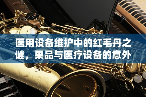 医用设备维护中的红毛丹之谜，果品与医疗设备的意外交集
