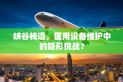 峡谷栈道，医用设备维护中的隐形挑战？