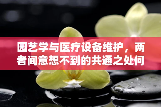 园艺学与医疗设备维护，两者间意想不到的共通之处何在？