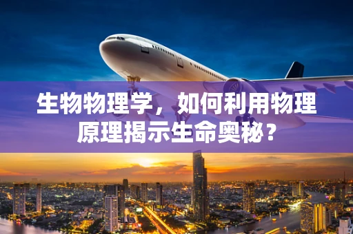 生物物理学，如何利用物理原理揭示生命奥秘？