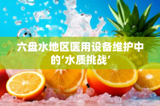 六盘水地区医用设备维护中的‘水质挑战’