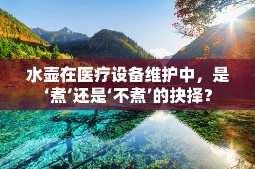水壶在医疗设备维护中，是‘煮’还是‘不煮’的抉择？