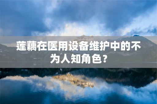 莲藕在医用设备维护中的不为人知角色？