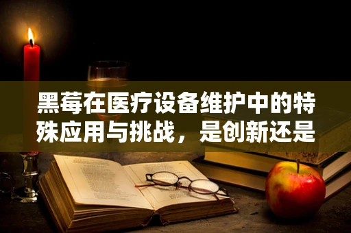 黑莓在医疗设备维护中的特殊应用与挑战，是创新还是过度？