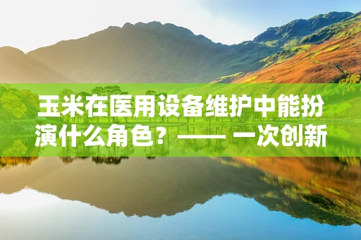 玉米在医用设备维护中能扮演什么角色？—— 一次创新应用的探索