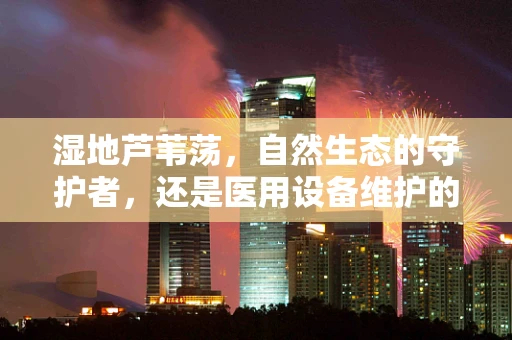 湿地芦苇荡，自然生态的守护者，还是医用设备维护的隐形挑战？