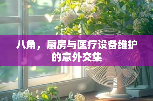 八角，厨房与医疗设备维护的意外交集