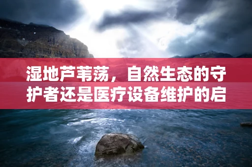 湿地芦苇荡，自然生态的守护者还是医疗设备维护的启示者？