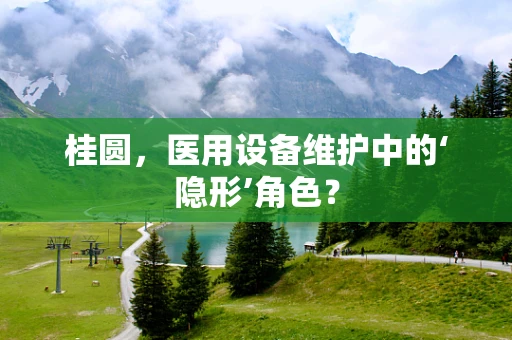 桂圆，医用设备维护中的‘隐形’角色？