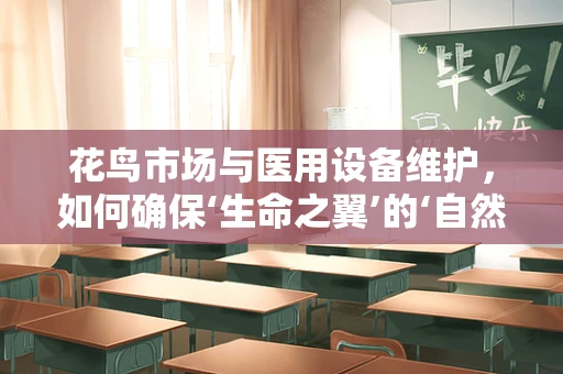 花鸟市场与医用设备维护，如何确保‘生命之翼’的‘自然’环境？
