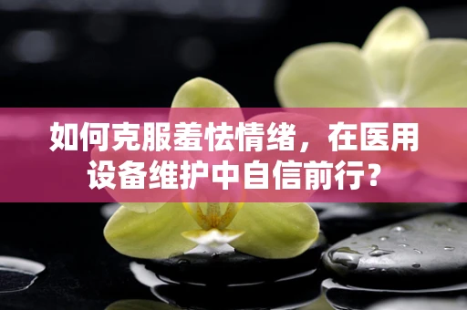 如何克服羞怯情绪，在医用设备维护中自信前行？