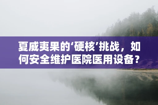 夏威夷果的‘硬核’挑战，如何安全维护医院医用设备？