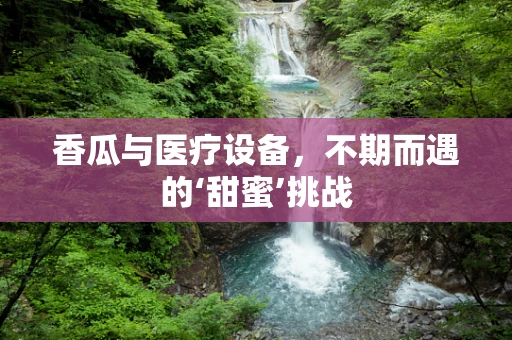 香瓜与医疗设备，不期而遇的‘甜蜜’挑战