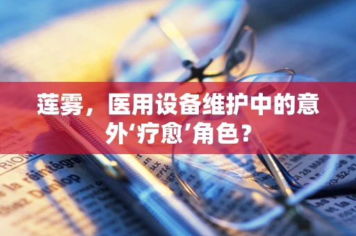 莲雾，医用设备维护中的意外‘疗愈’角色？